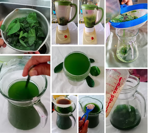 Jus Pegagan (Asiatic Pennywort Juice)